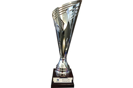 Halcyon Cup